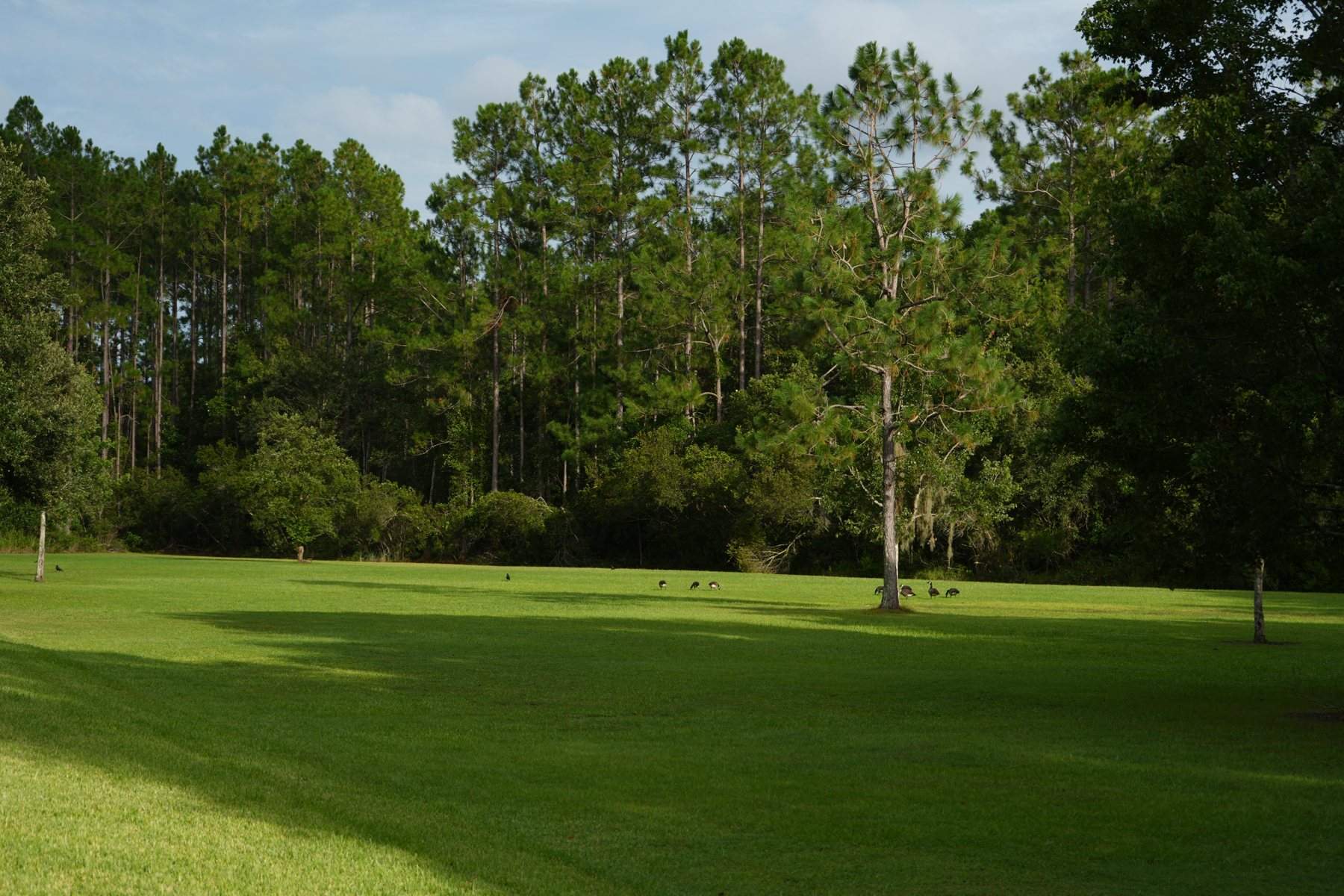 durbin-crossing-open-green-space-oak-trees