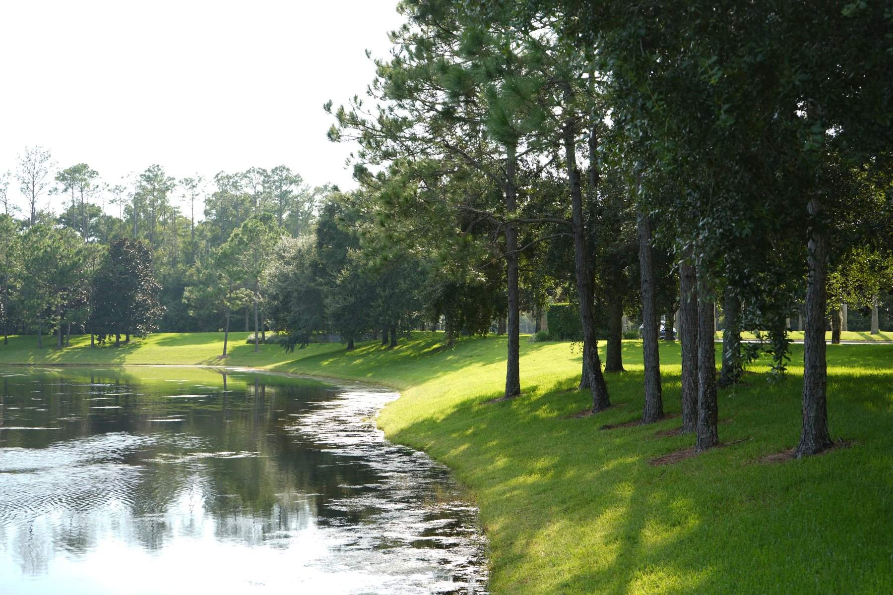 nocatee-lakeside-pine-tree-trail