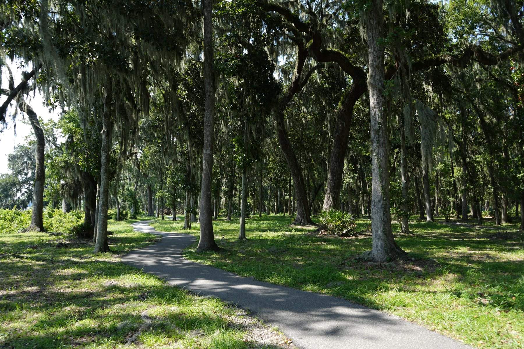 rivertown-oak-canopy-walking-trail