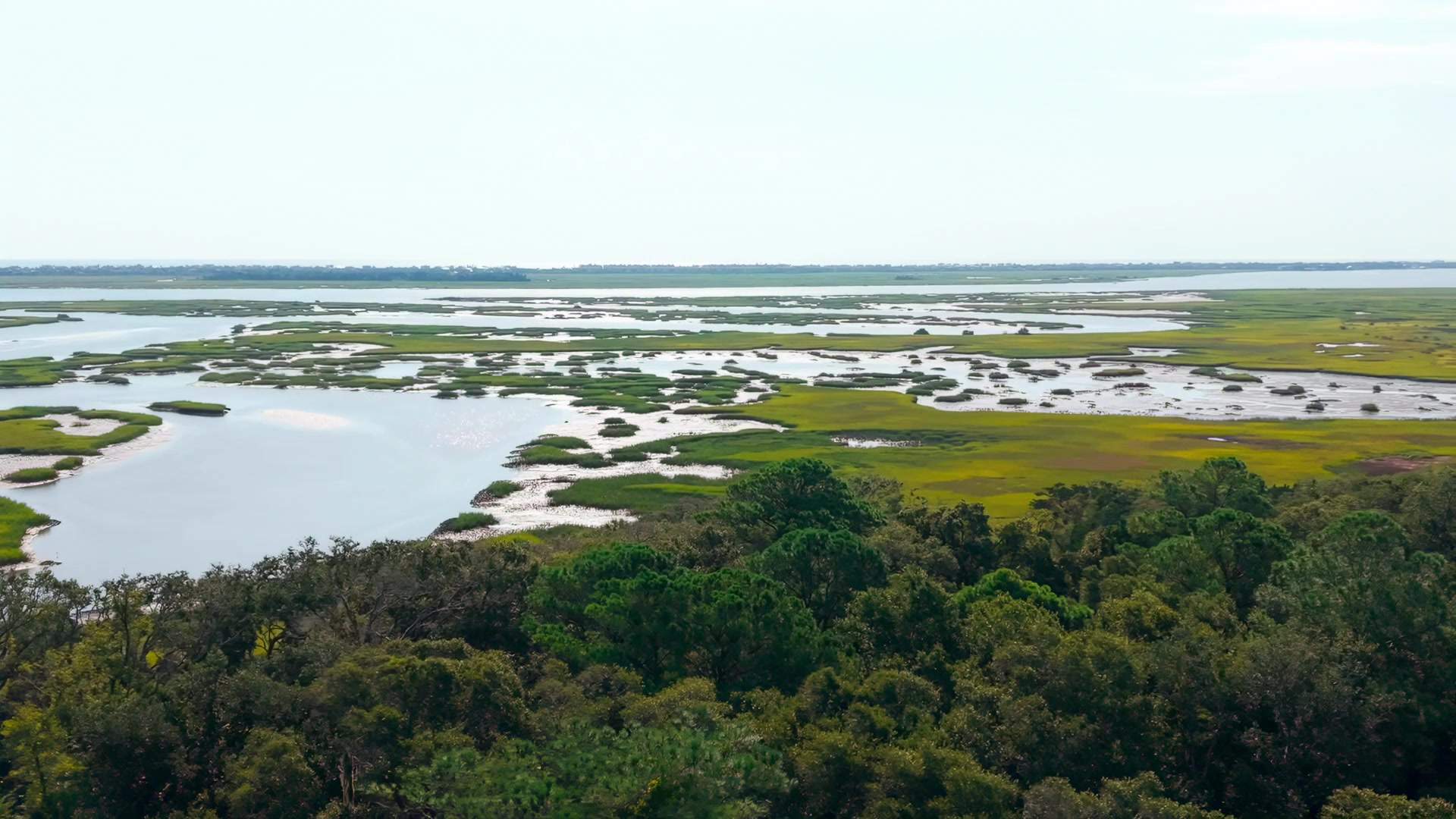 Aerial view of salt marsh and tidal creeks near St. Augustine